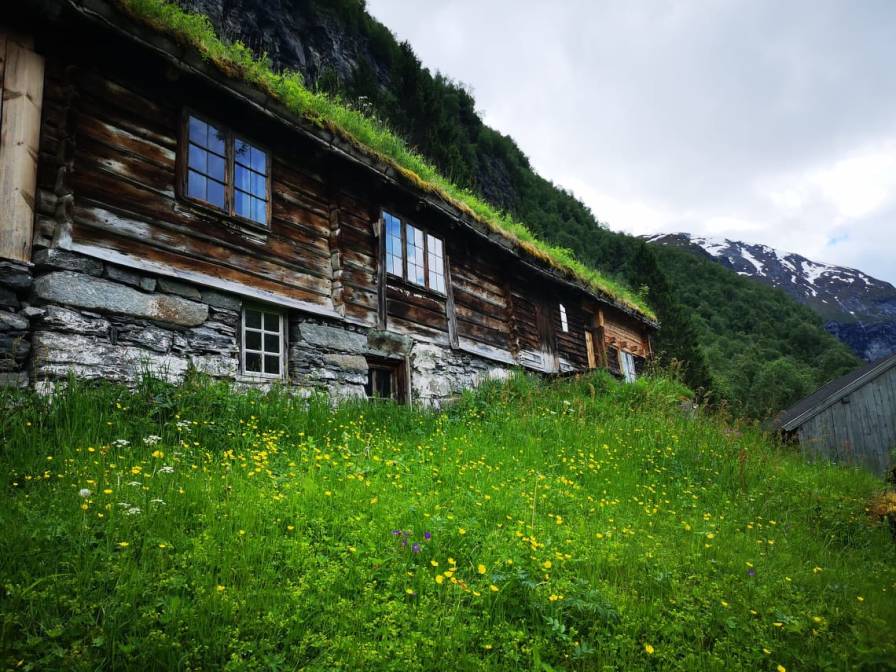 142796031_479328029758045_2549026935103194428_n